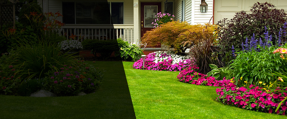 Ozone Park Landscapers