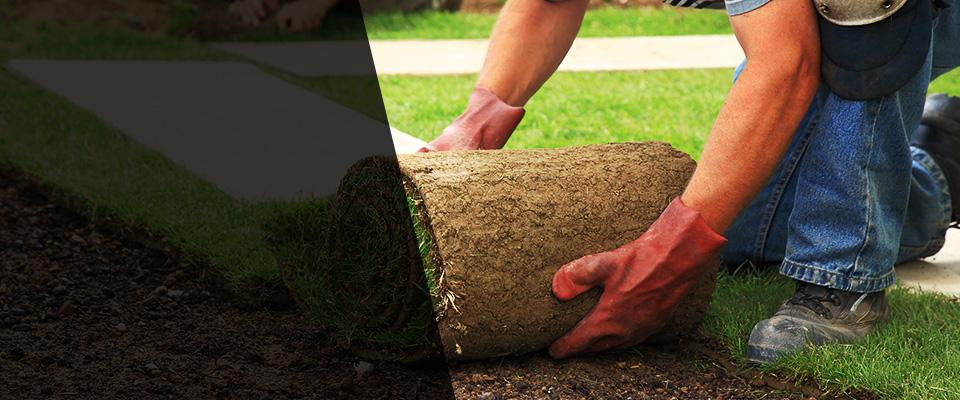 Ozone Park Landscapers